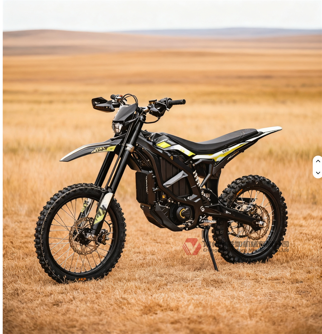 Surron ultra bee 2025