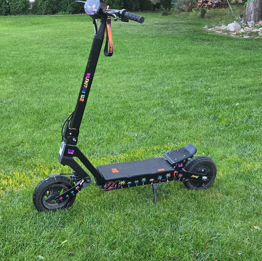Electric Scooter wrap / graphics kit kukirin G2 G4 Ausom l1 - – rainbow palm